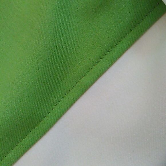 Ellen Tracy Beautifully Seamed Colorblock Dress - Picture 11 of 11